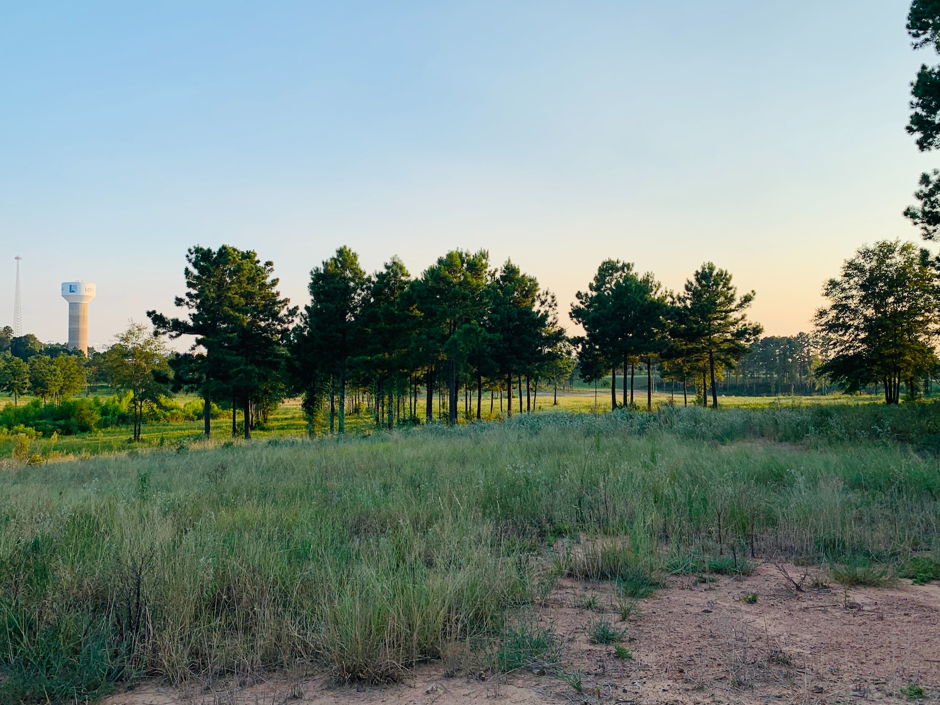 Guide to Selling Your Texas Land Faster and Easier