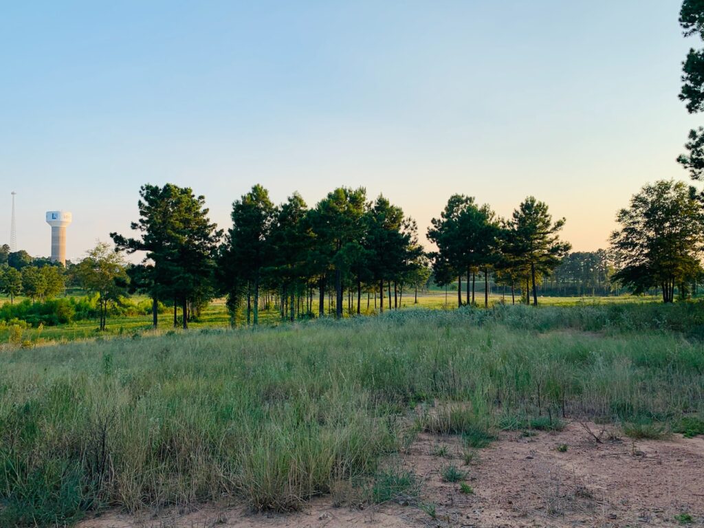 A Step-By-Step Guide to Selling Your Texas Land Fast and Efficiently | Vacant Land Man