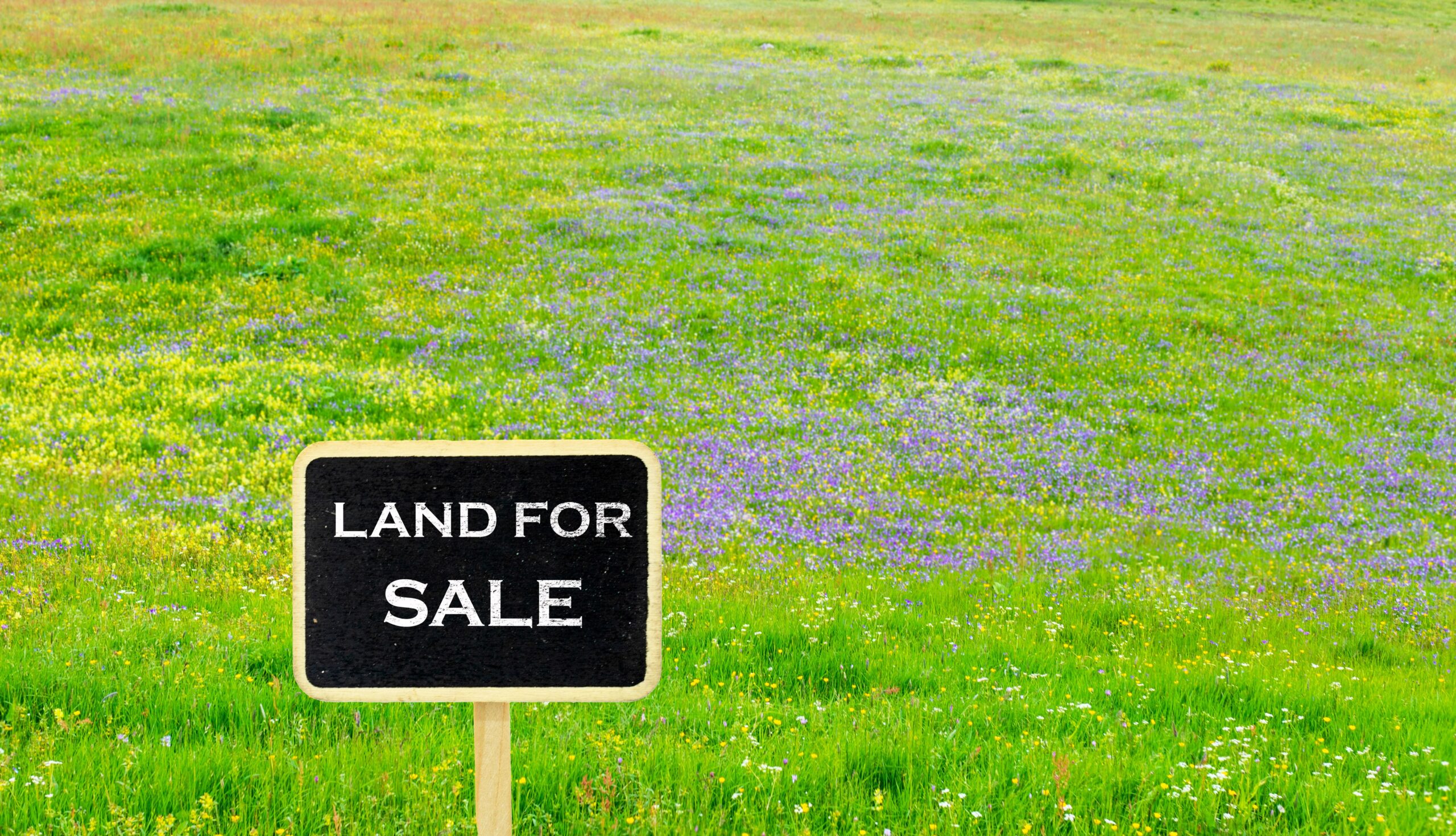 land for sale