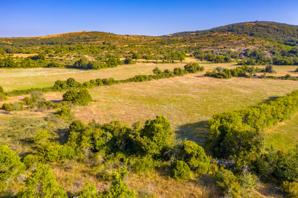 texas land